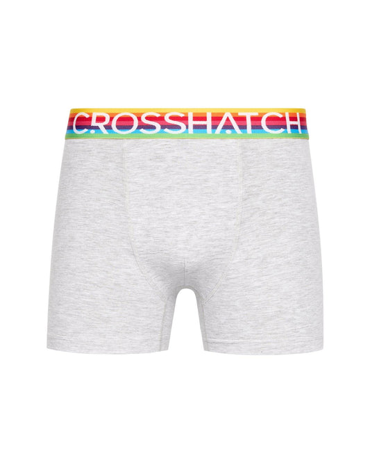 Rainbow Mix Boxers 3pk Grey Mix